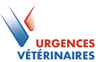 Urgences Vétérinaires à Saint-Etienne 7j/7 - Emergency Pet Care