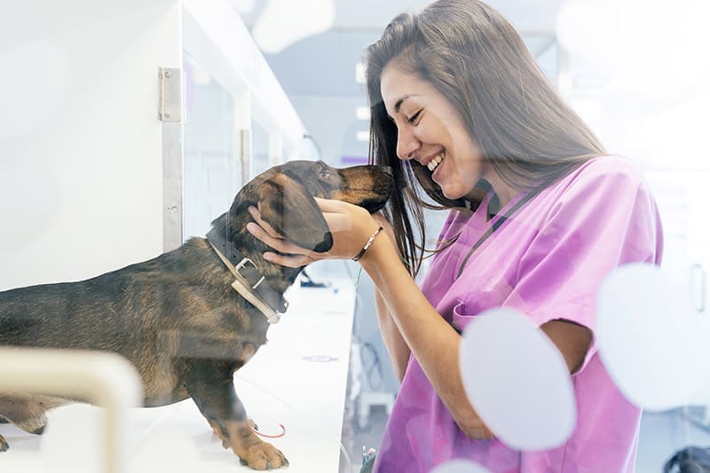 Urgence VETERINAIRE Clermont-Ferrand - Puy de Dôme