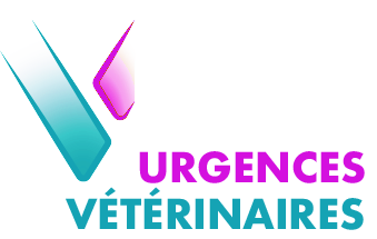 Urgences Vétérinaires à Saint-Etienne 7j/7 - Emergency Pet Care