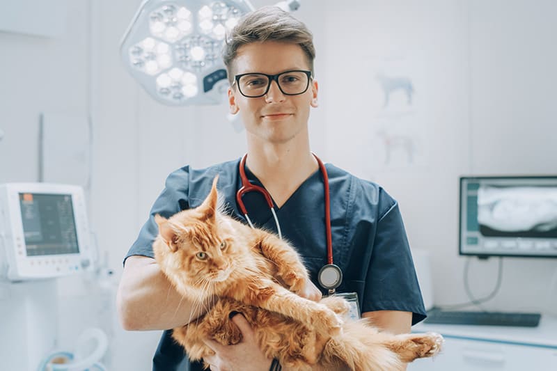 Urgences Vétérinaires à Saint-Etienne 7j/7